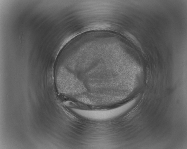 X0000063471226200602101732