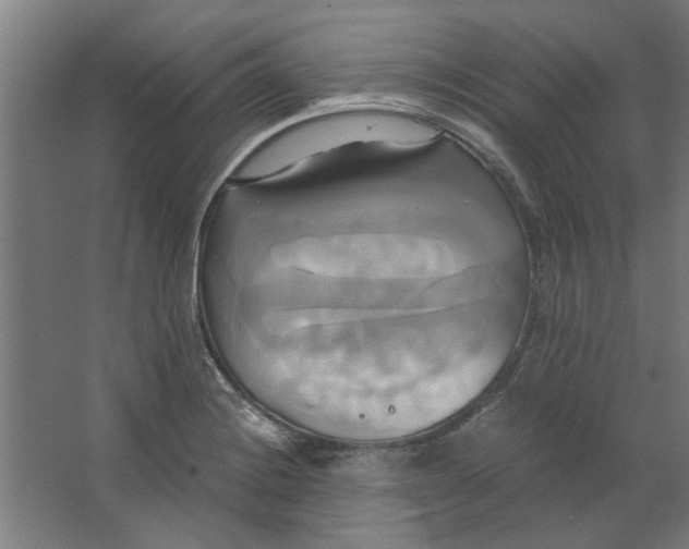 X0000063471228200602101732