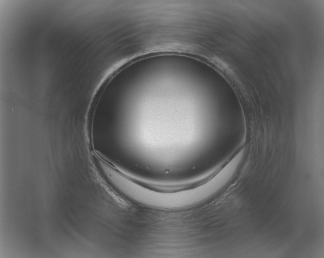 X0000063471230200602101732