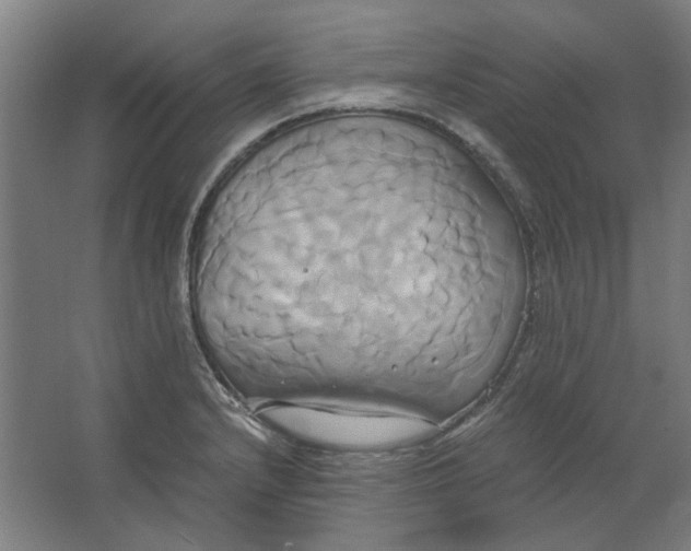 X0000063471232200602101732