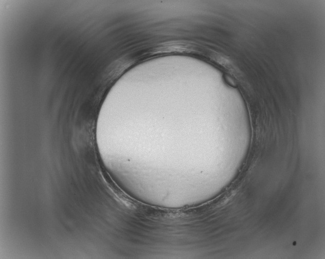 X0000063471233200602101732