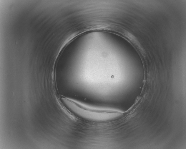 X0000063471234200602101732