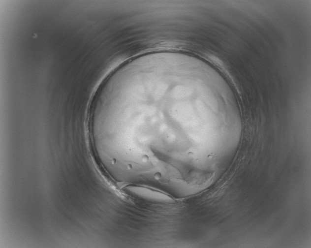 X0000063471235200602101732