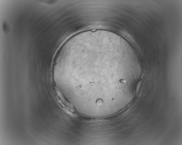 X0000063471236200602101732