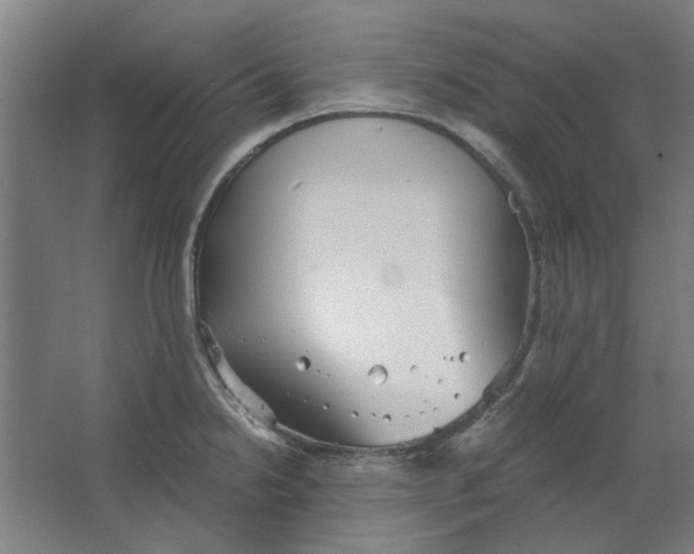 X0000063471238200602101732