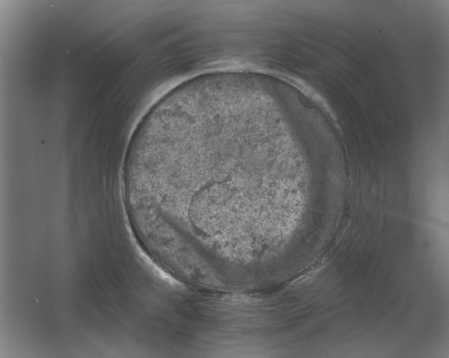 X0000063471239200602101732