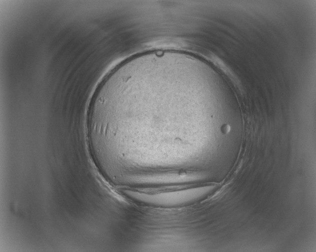 X0000063471240200602101732