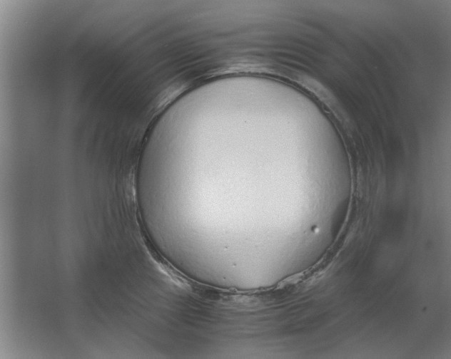 X0000063471241200602101732