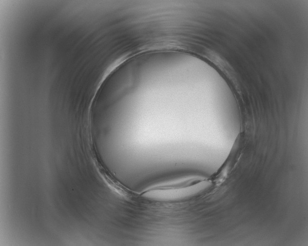 X0000063471242200602101732