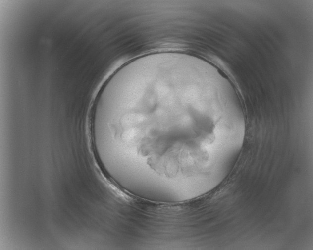 X0000063471243200602101732