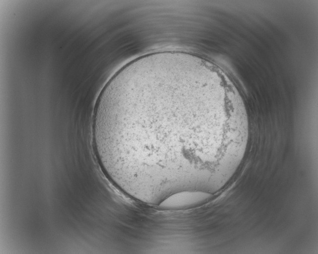 X0000063471244200602101732