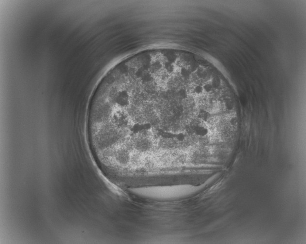 X0000063471245200602101732