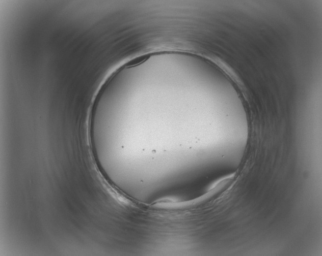 X0000063471246200602101732