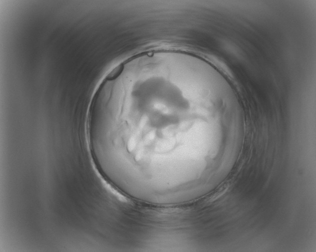 X0000063471247200602101732