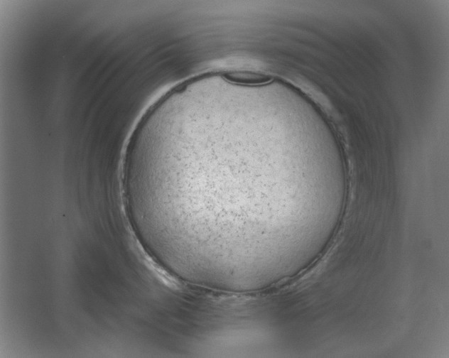 X0000063471248200602101732