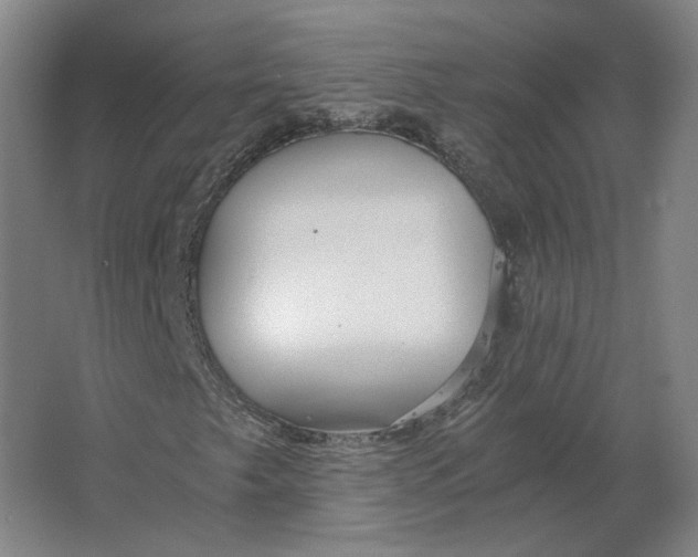 X0000063471249200602101731