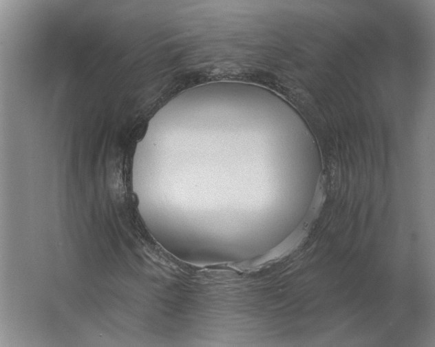 X0000063471250200602101731