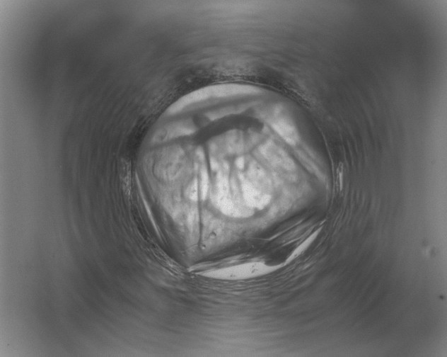 X0000063471251200602101731