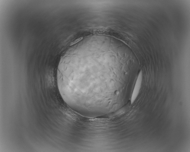 X0000063471252200602101731