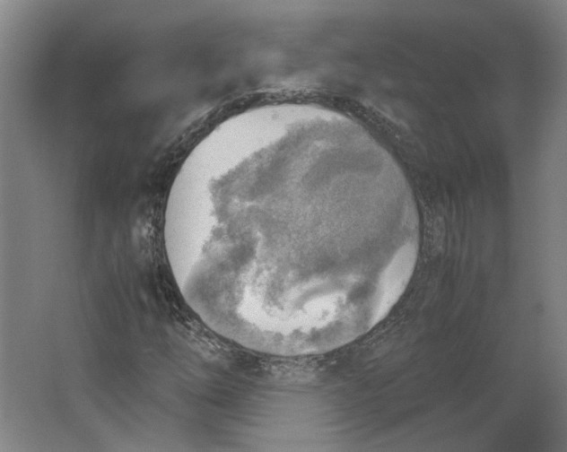 X0000063471254200602101731