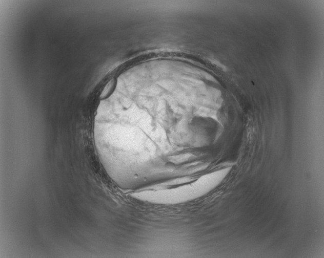 X0000063471255200602101731