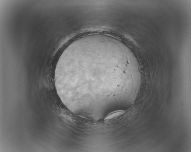 X0000063471256200602101731