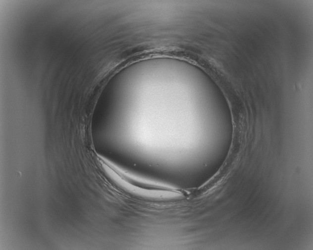 X0000063471257200602101731