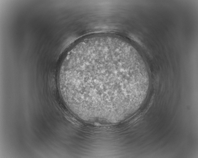 X0000063471259200602101731