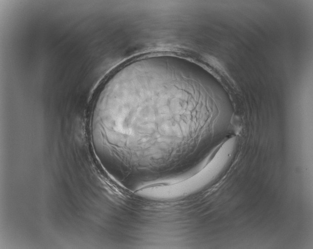 X0000063471260200602101731