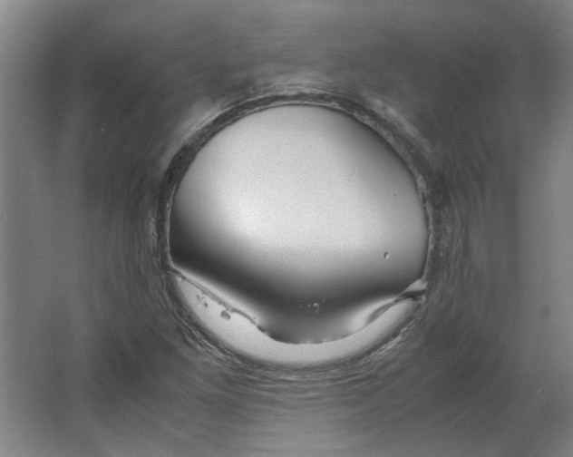 X0000063471261200602101731