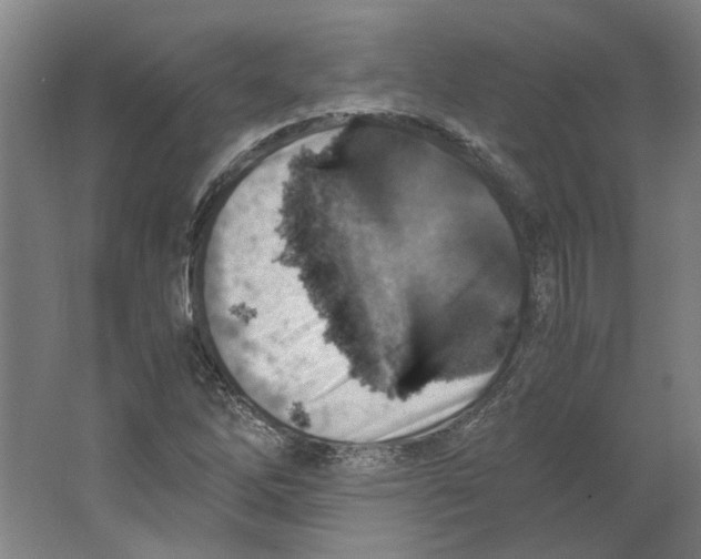 X0000063471262200602101731