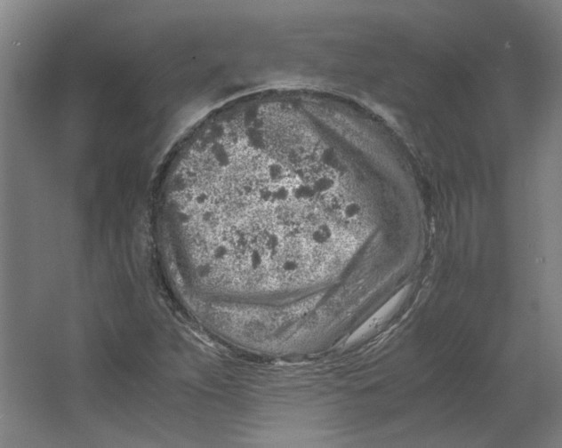 X0000063471263200602101731