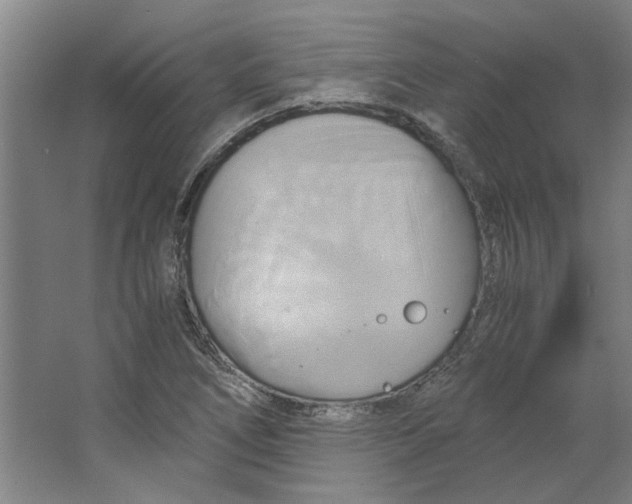 X0000063471266200602101731