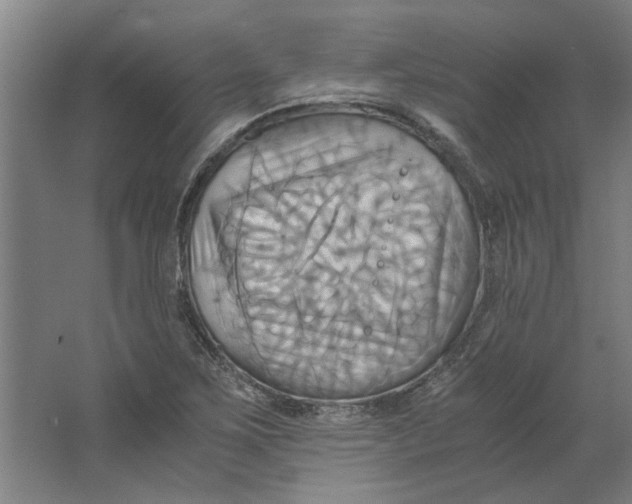 X0000063471267200602101731