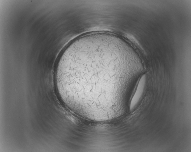 X0000063471268200602101731