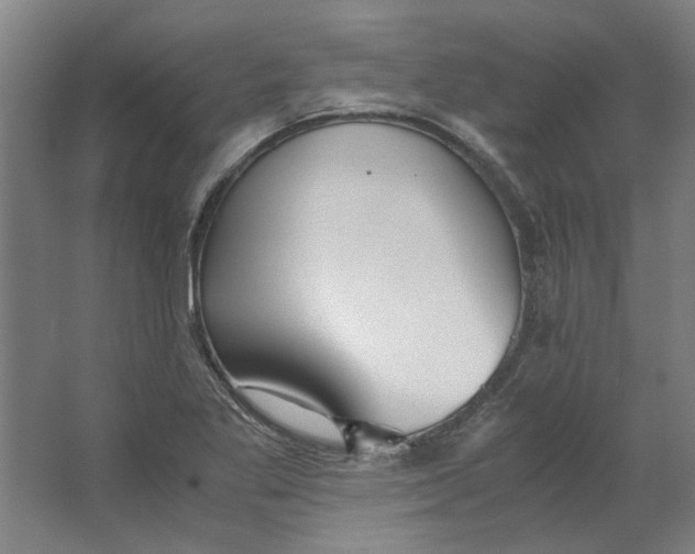 X0000063471269200602101731