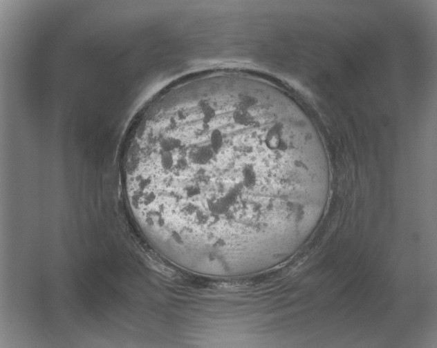 X0000063471271200602101731