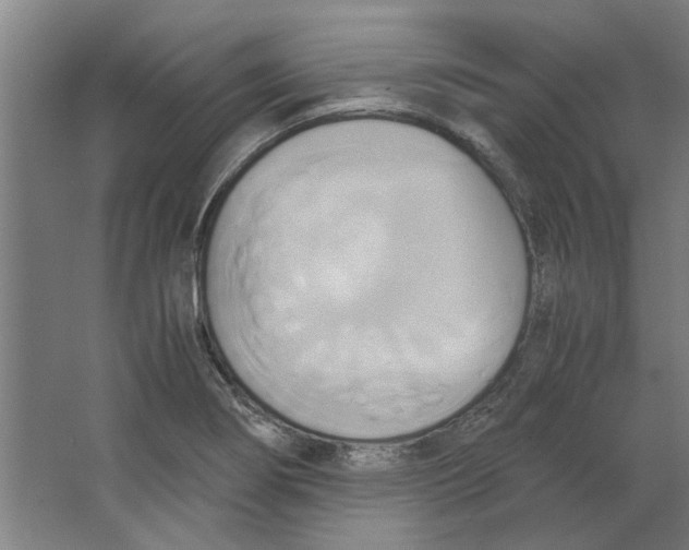 X0000063471274200602101731