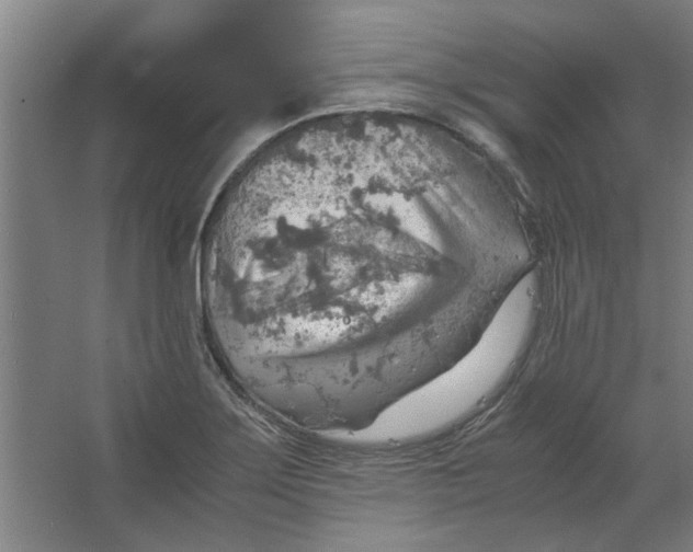 X0000063471275200602101731