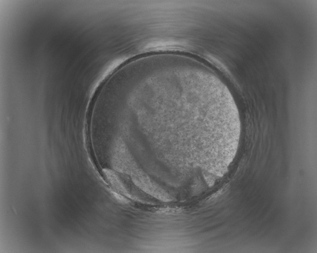 X0000063471277200602101731