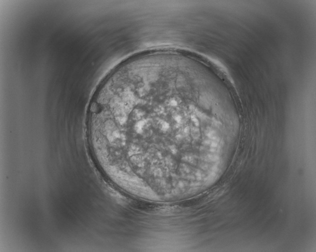 X0000063471279200602101731