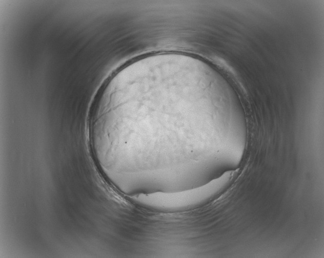 X0000063471280200602101731