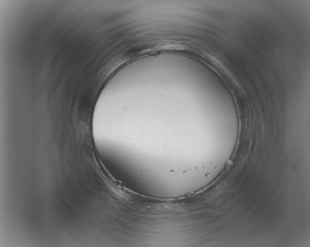 X0000063471281200602101731