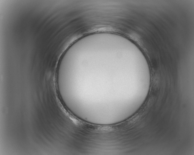 X0000063471282200602101731