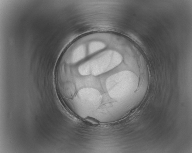 X0000063471283200602101731