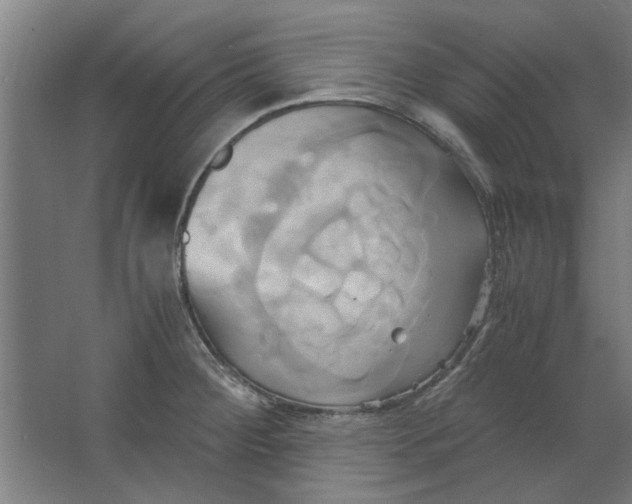 X0000063471284200602101731