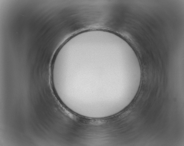 X0000063471286200602101731