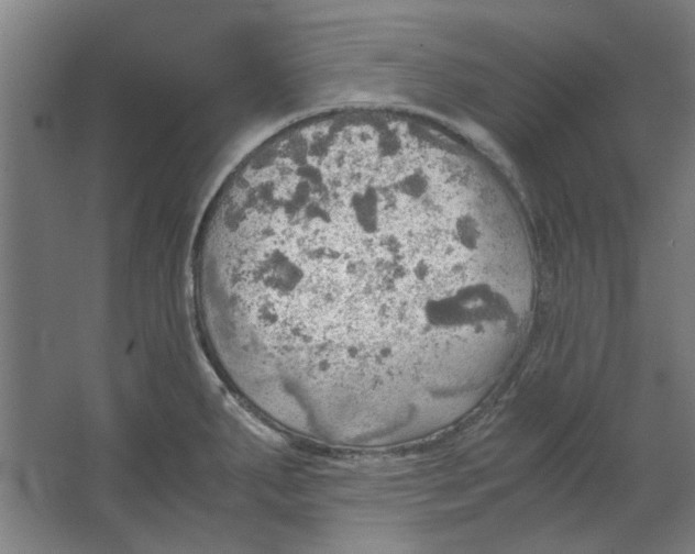 X0000063471287200602101731