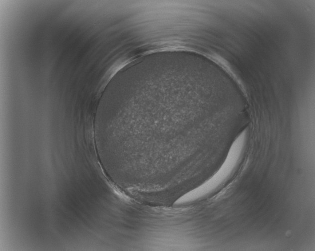 X0000063471289200602101731