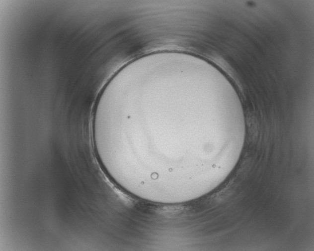 X0000063471290200602101731